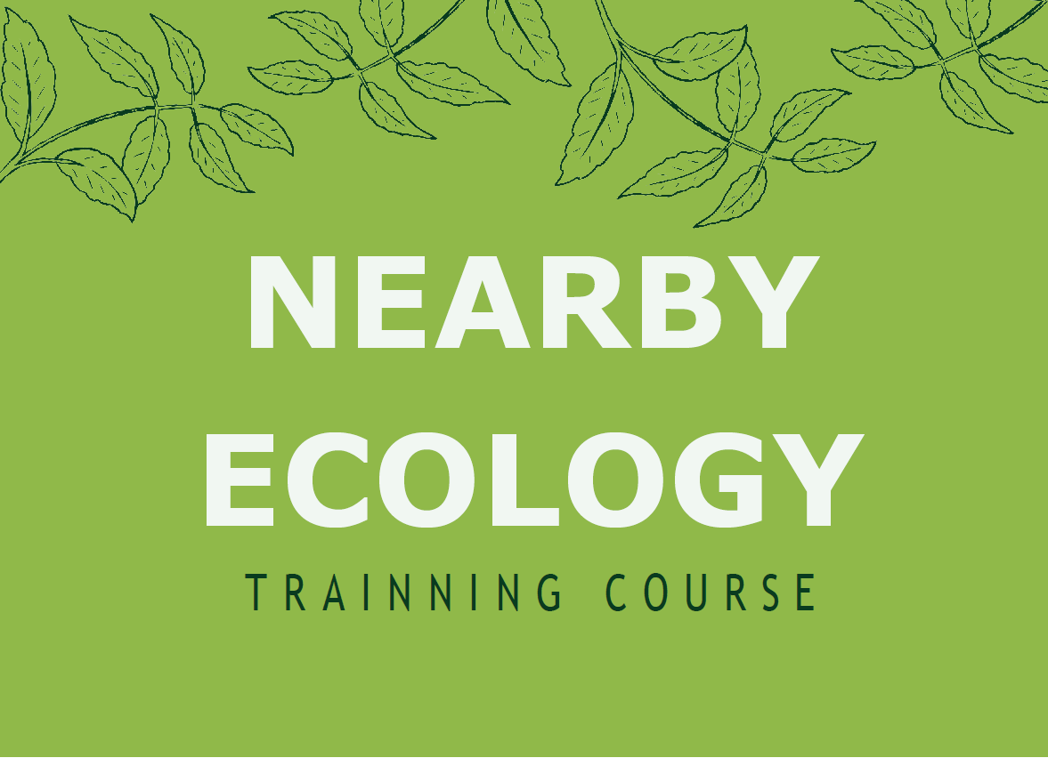 Nearby Ecology | Corso di formazione Erasmus+