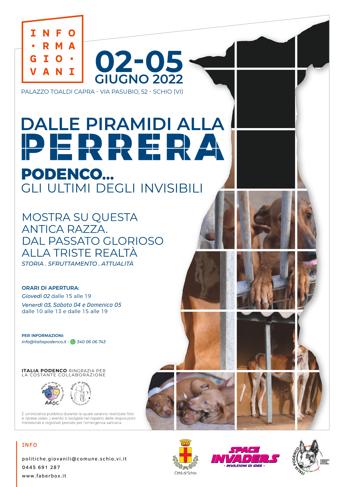 DALLE PIRAMIDI ALLA PERRERA: PODENCO… GLI ULTIMI DEGLI INVISIBILI