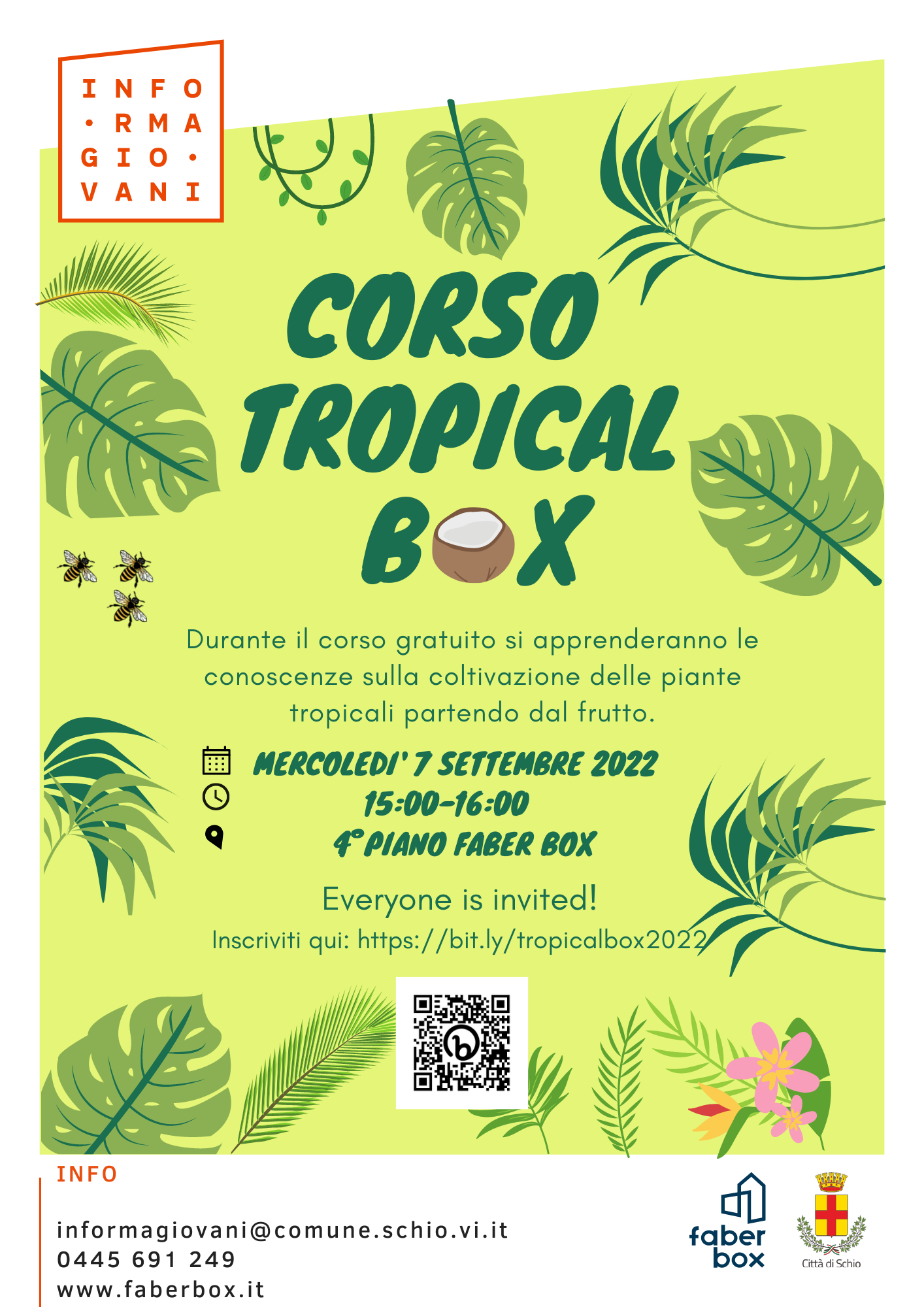 Corso Tropical box