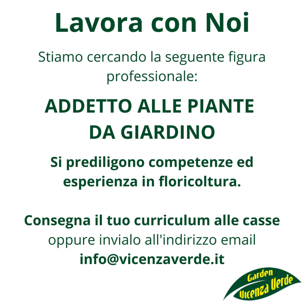 Offerta vincente e il nuovo contratto il successo come un progetto di  business win dopo una proposta per una presentazione azienda job con cinque  bottiglie di champagne con tappi di chiusura e