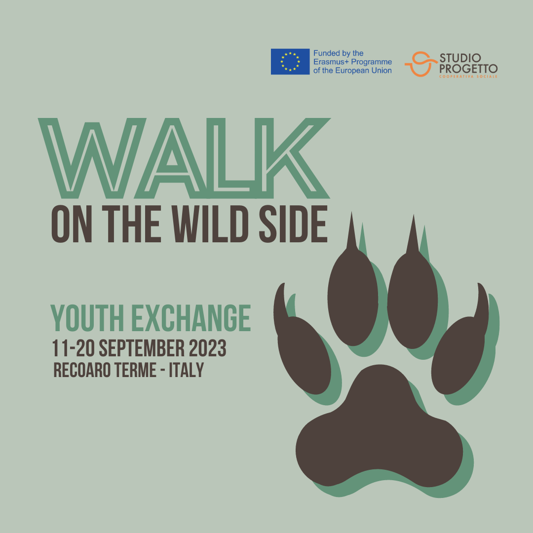 Walk on the wild side, scambio giovanile E+